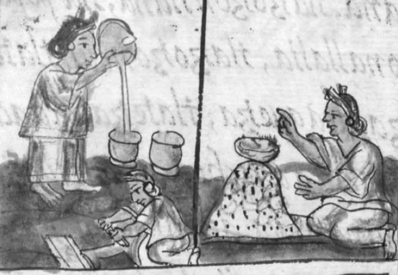 The Florentine Codex depicting the preparation of cacao. The process of roasting, grinding cacao beans into cocoa paste with a pestle, a mano, on a flat mortar, a metate, and frothing the drink pouring it from one vessel to the other.