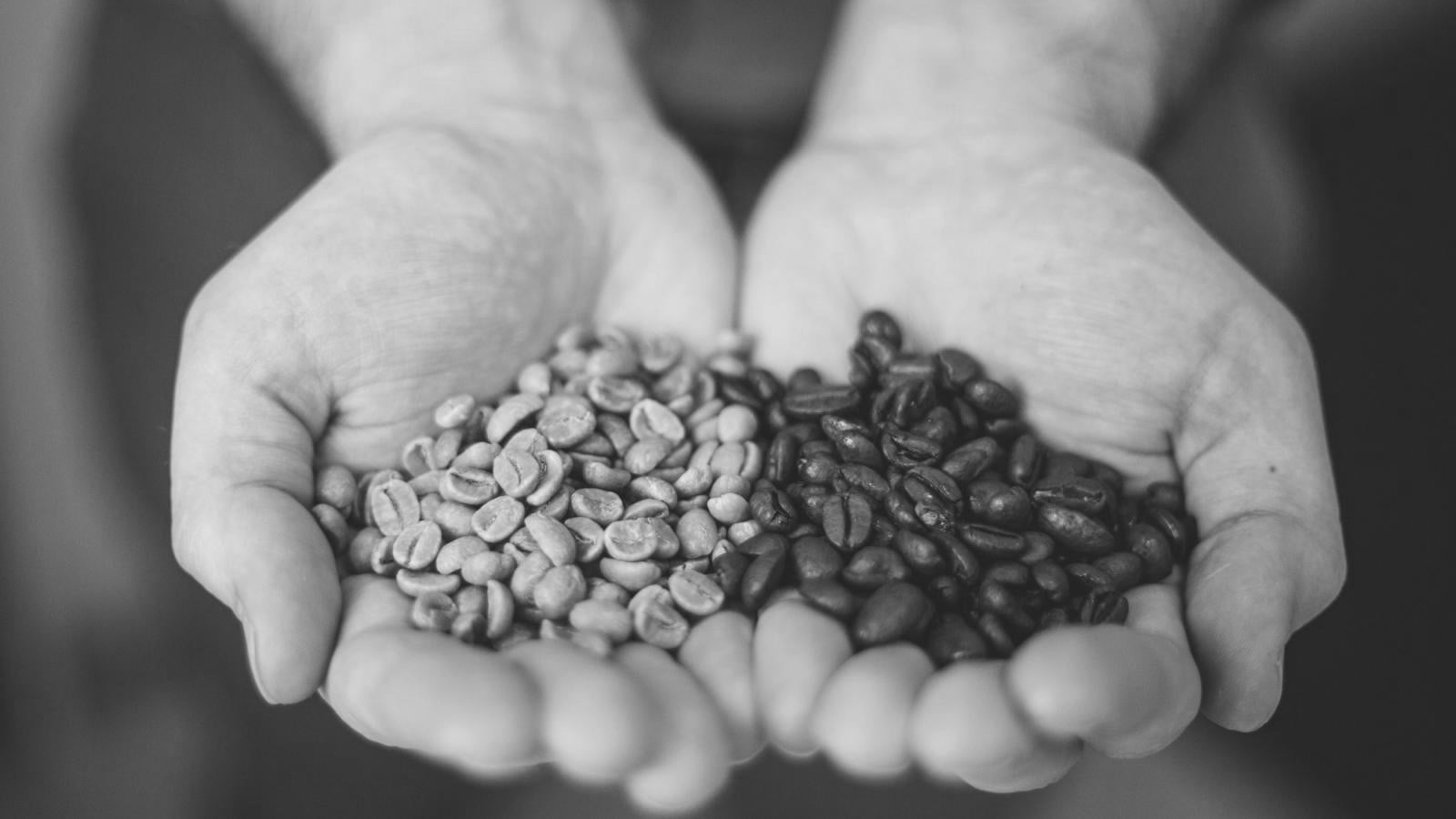 TIMELINE: A story of coffee