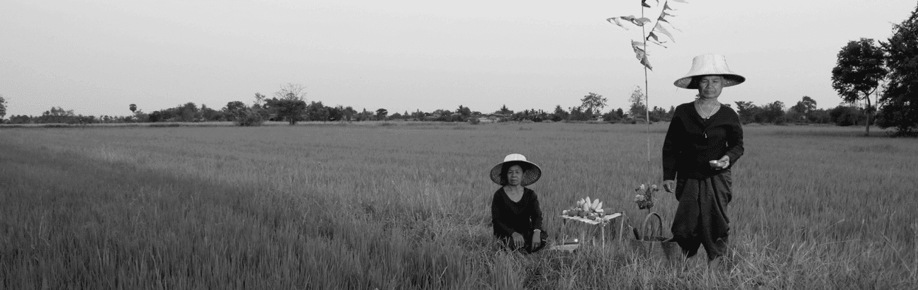 THAILAND : Mae Posop – Myths, History and Folklore of RICE