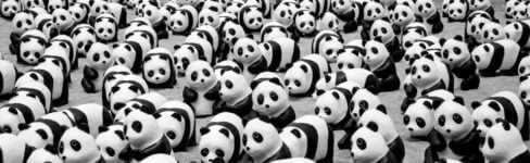 panda-art-china-panda-history-mythology