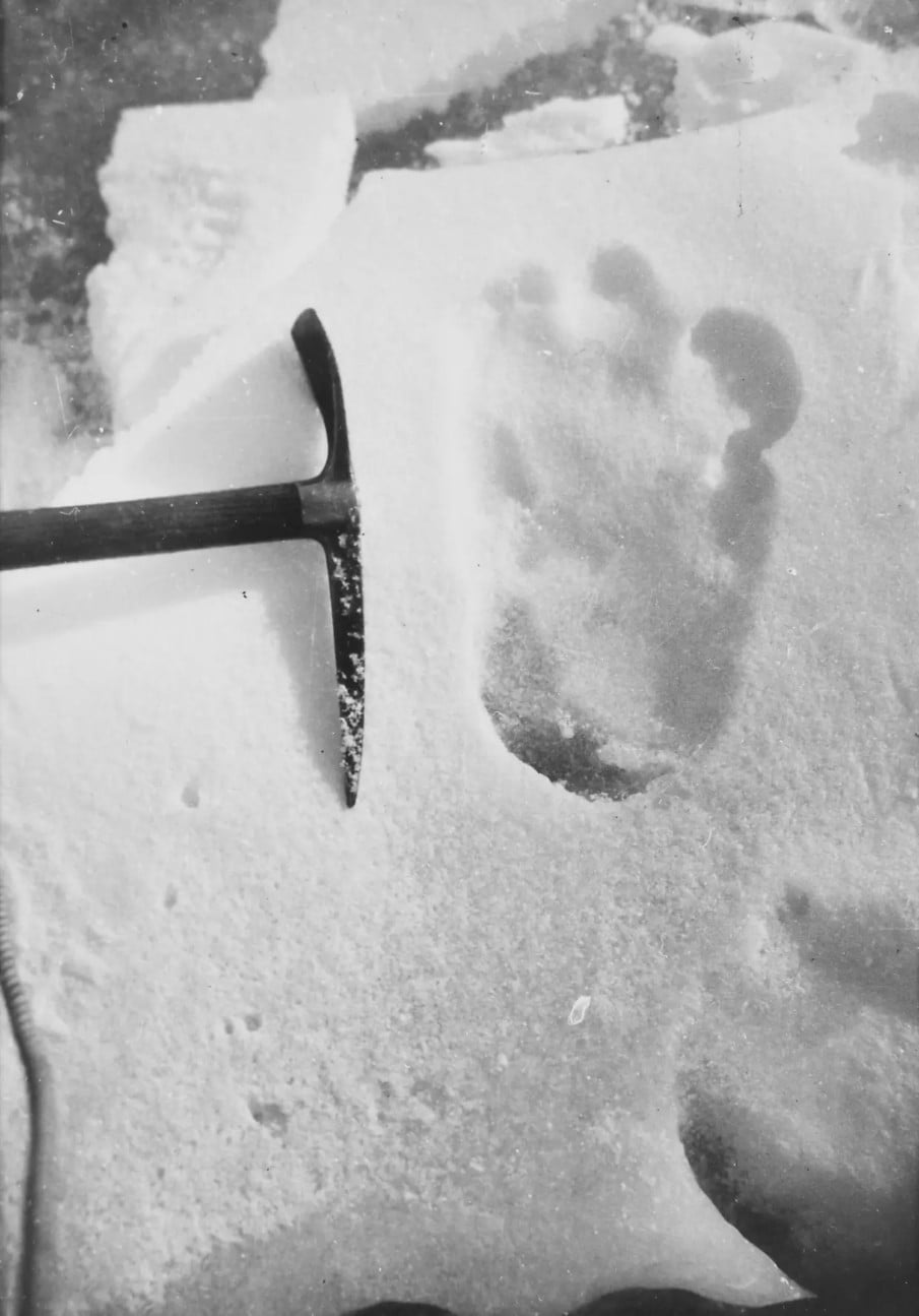 Yeti footprint found by Michael Ward and photographed by Eric Shipton taken at Menlung Glacier on the 1951