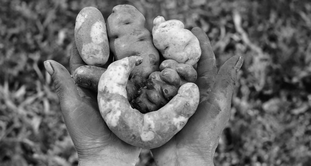 papas-potaoes from Peru