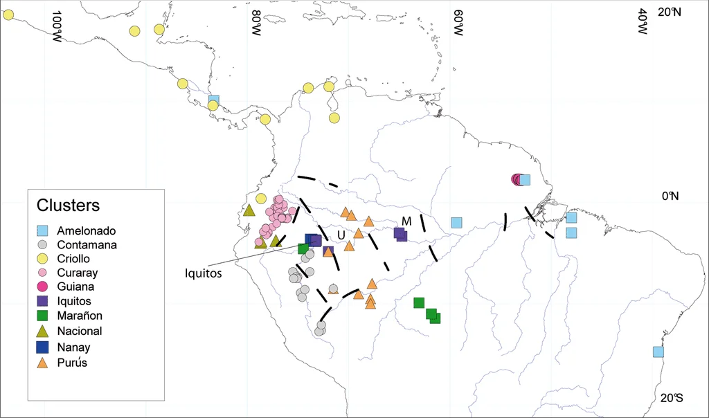TIMELINE: A story of cacao/cocoa and chocolate