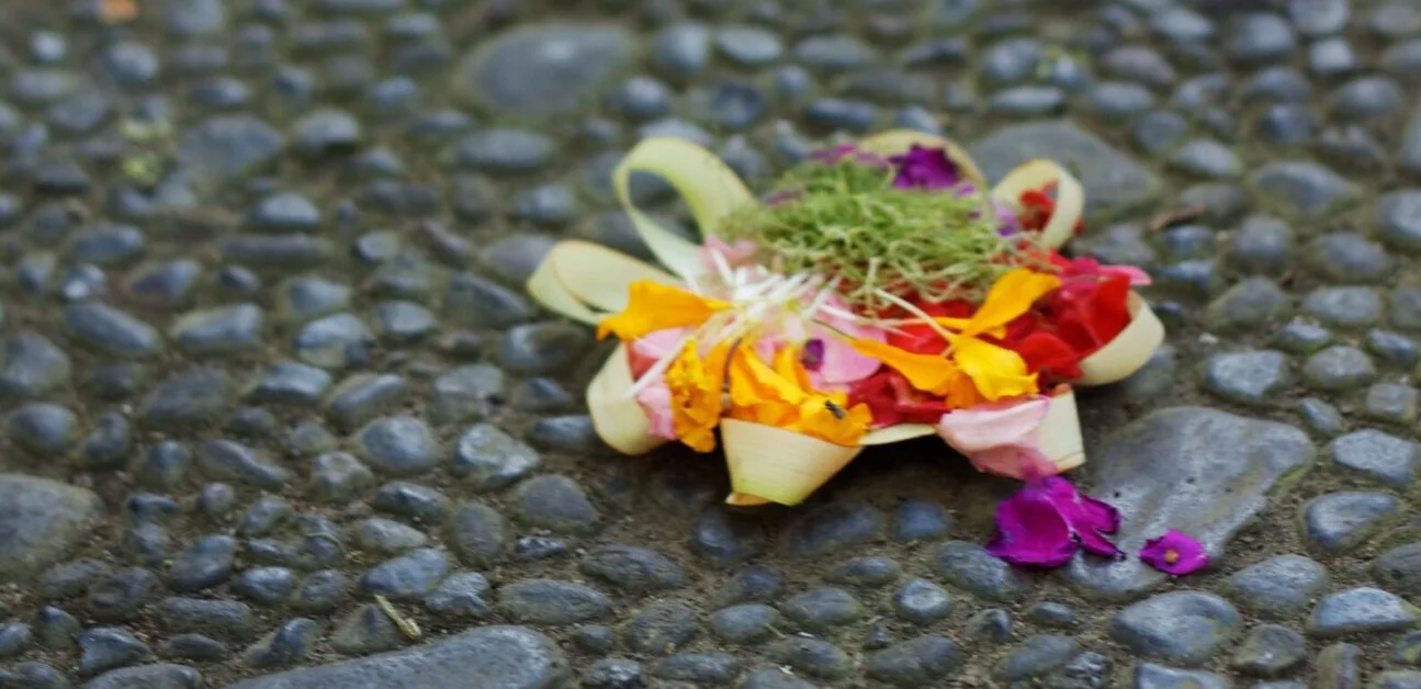 offering-bali-Traditional-Tajen-Cockfighting-earthstoriez