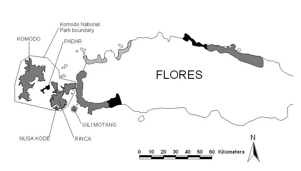 komodo dragon habitat map