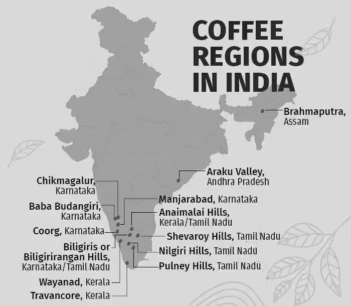 Coffee in India grown in the hills of Karnataka (Kodagu, Chikmagalur and Hassan), Tamil Nadu (Nilgiris District, Yercaud and Kodaikanal), Kerala (Malabar region), Andhra Pradesh (Araku Valley), Assam, Manipur, Meghalaya, Mizoram, Tripura, Nagaland and Arunachal Pradesh in the North East.