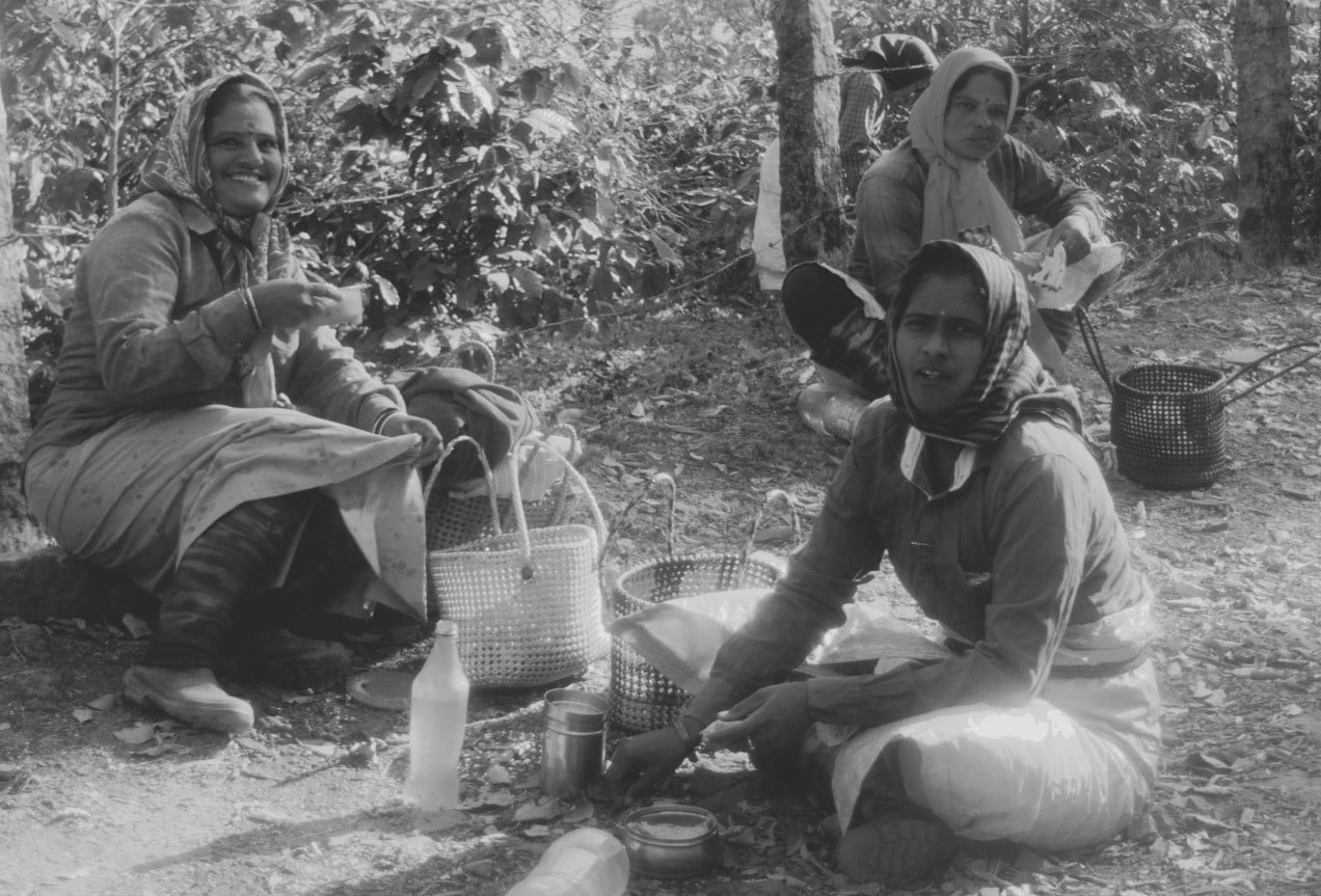 Coffee ladies having a break in a coffee plantation in Chickmagalur.