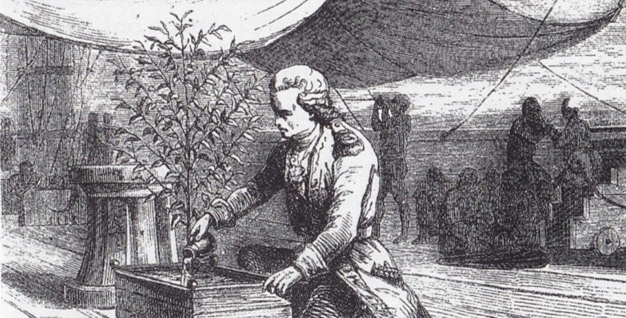 Gabriel de Clieu with coffee plant