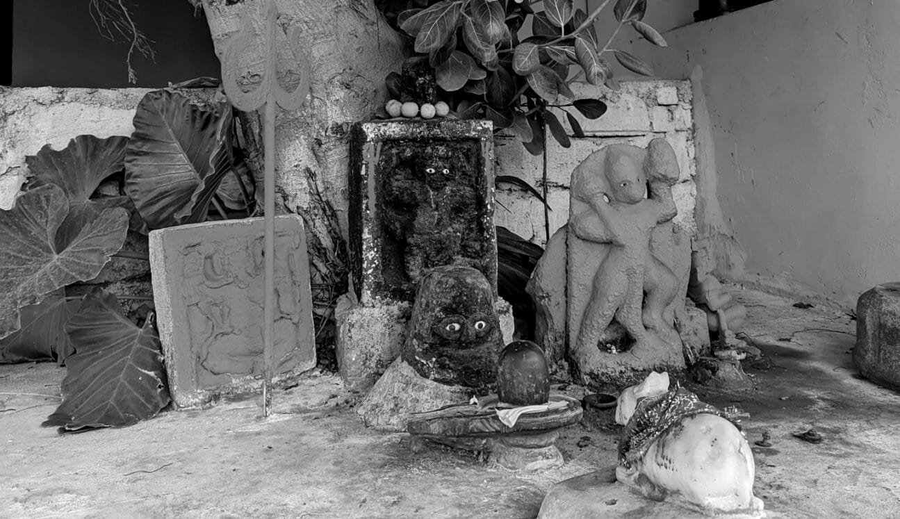 Ficus religosa with Shiva, Nandi, Hanuman in Dwarka, Gujarat.