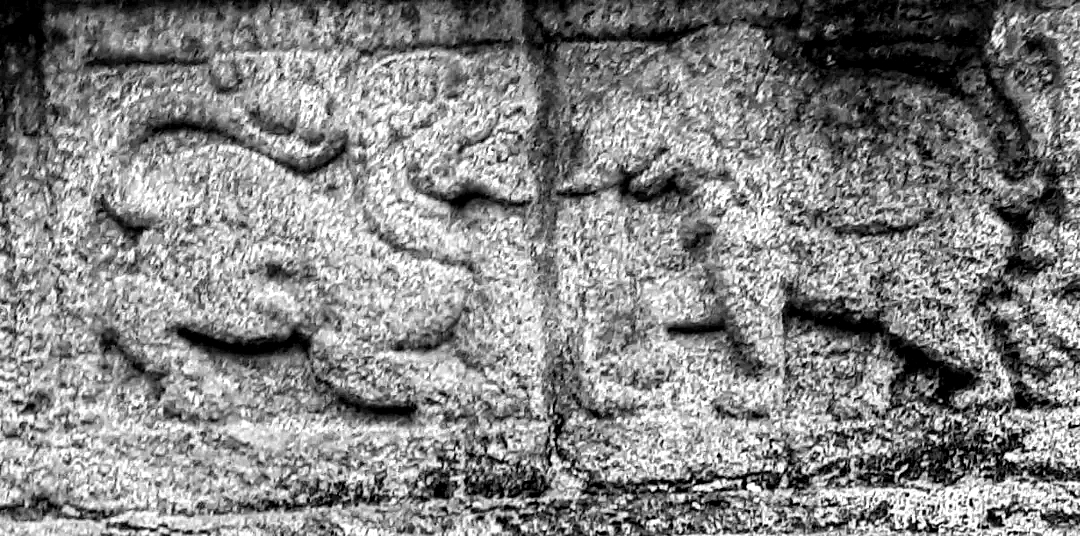 Lion versus elephant sculpture in the rock cross at Kaduthuruthy Great Church Lion versus elephant sculpture in the rock cross at Kaduthuruthy Great Church