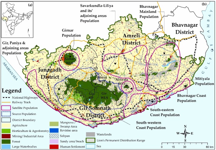 Land use land cover map with satellite lion populations in permanent lion distribution range, Gir National Park and Wildlife Sanctuary and Girnar wildlife sanctuary. Land use land cover map with satellite lion populations in permanent lion distribution range, Gir National Park and Wildlife Sanctuary and Girnar wildlife sanctuary.