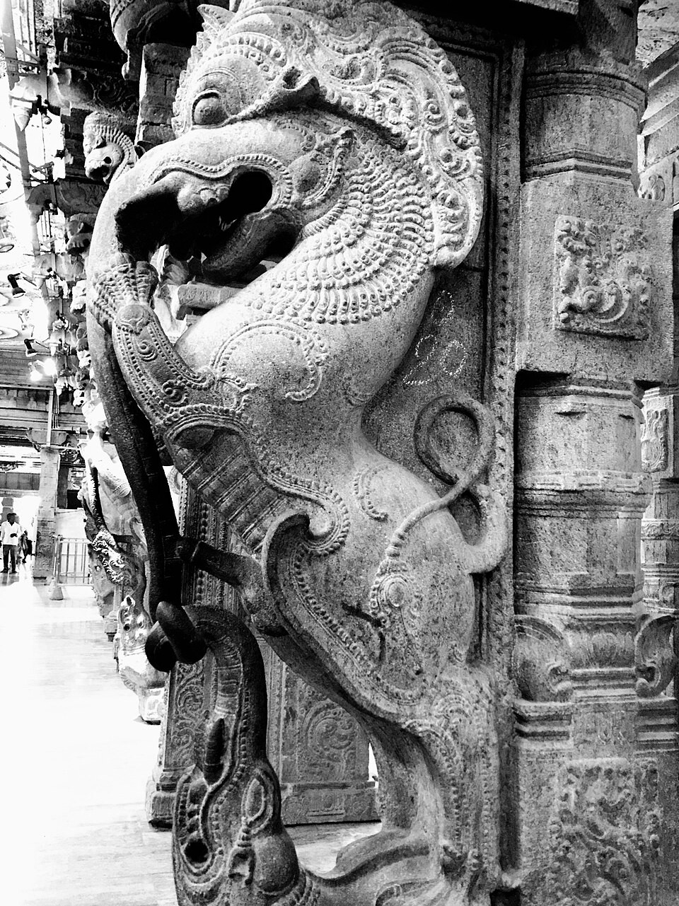 Gajasimha Vyala, Lion and Elephant statue in Meenakshi Amman Temple. Gajasimha Vyala, Lion and Elephant statue in Meenakshi Amman Temple.