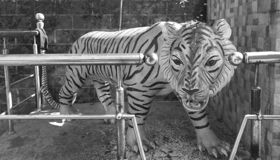 Shiva takes the form of a tiger at the Bagnath temple,