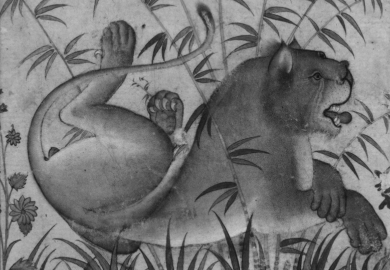 Lion at Rest, ca. 1585. India. Lion at Rest, ca. 1585. India.