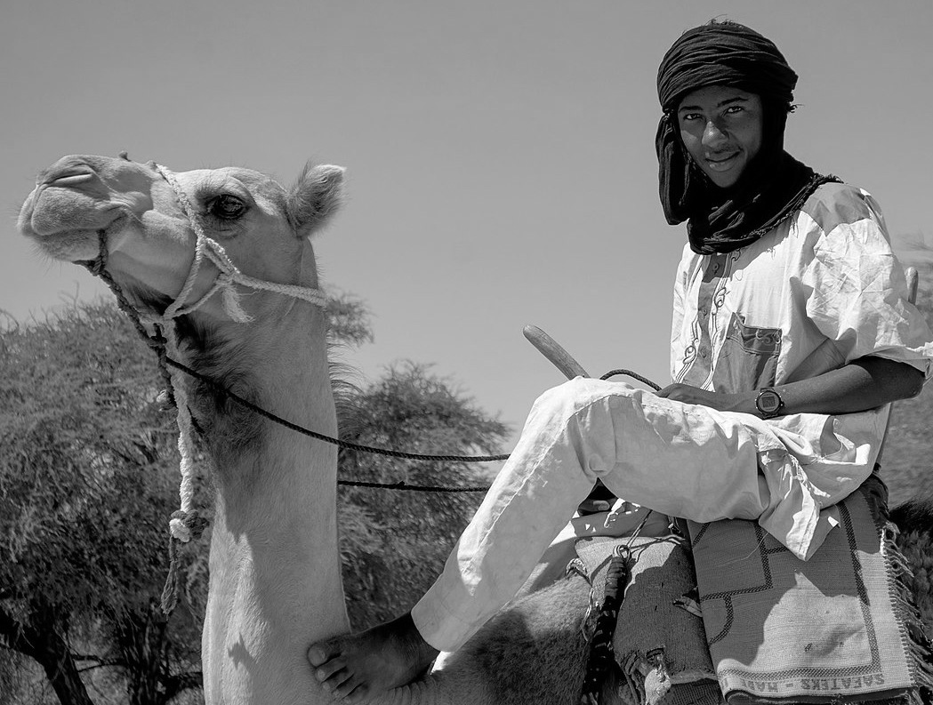 Tuareg of Niger on camel