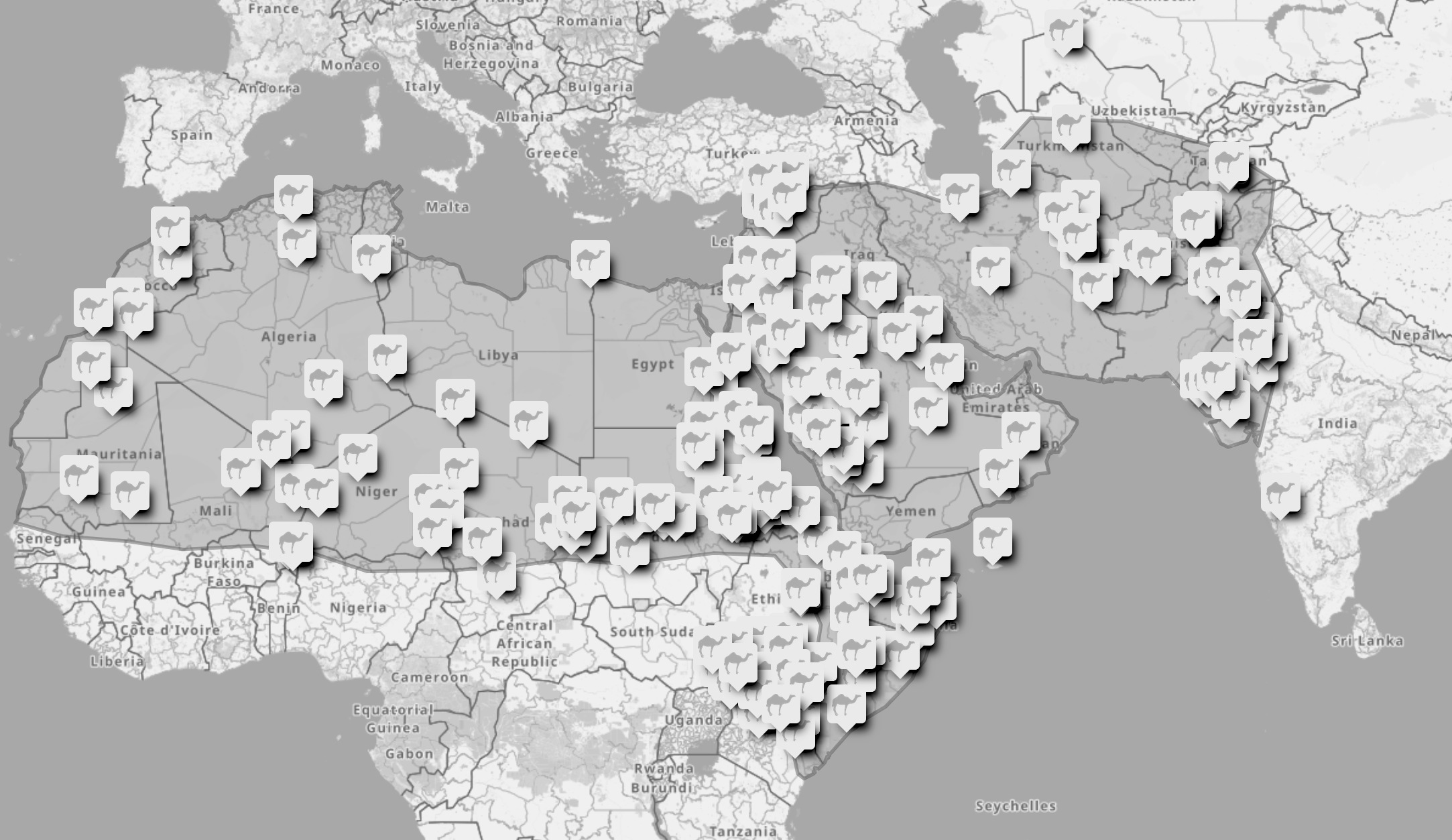 Dromedary camel pastoralists 