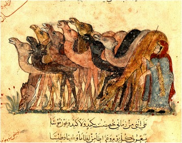 Herd of camels’, Arab miniature by Al-Wasiti from ‘Maqamat’ by Al Hariri