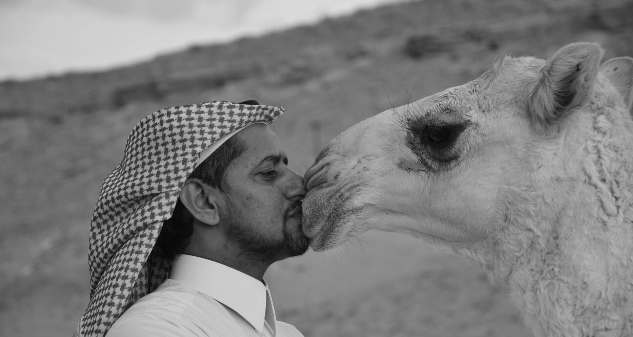 Men wearing keffiyeh and his camel in Saudi Arabia