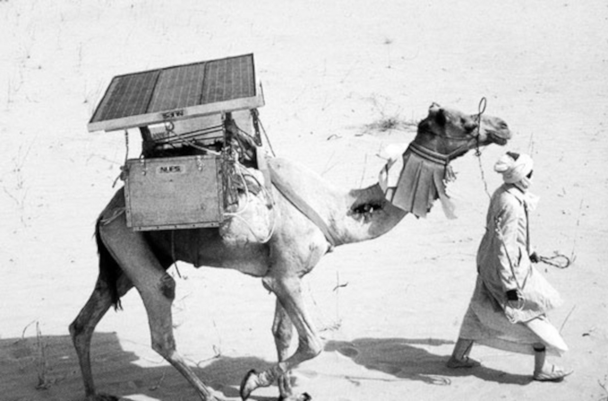 solarcamel-
