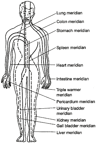 yogamedicine.com-meridians